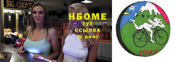 spice Бородино